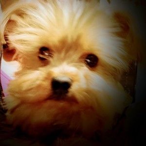 Meet your Posher, Rita